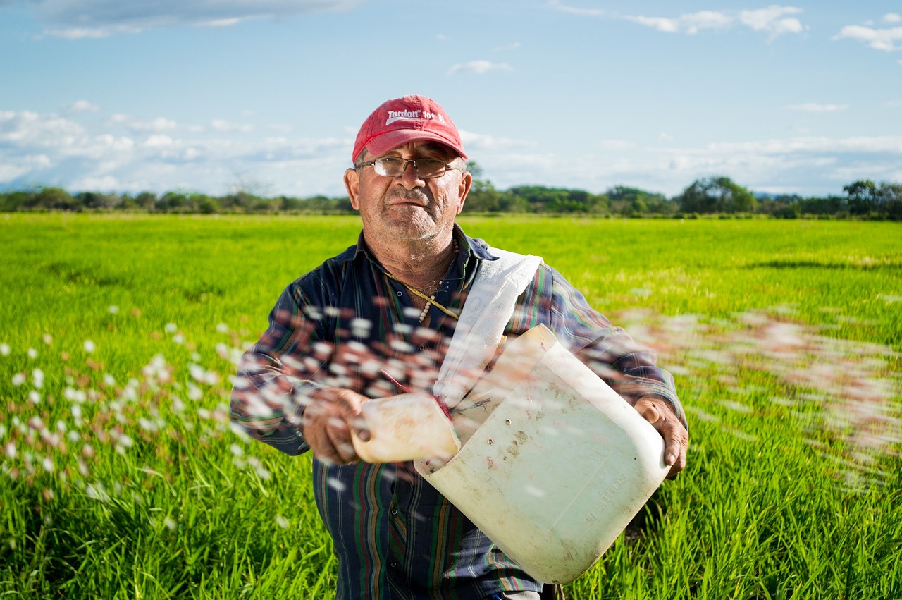 Campesino trabajando